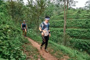 BIB: 
                            <button type="button" onclick="openModal(24879071)" class="btn btn-primary btn-sm float-right btn-popup" data-toggle="modal" data-target=".modal-high-quality">
                        <i class="fas fa-shopping-cart"></i> Add to Cart
                    </button>
                                            <button type="button" onclick="isThisMe(24879071, true)" class="btn btn-success btn-sm float-right btn-popup btn-isme hidden" data-toggle="tooltip" data-placement="bottom" title="นี่คือรูปของคุณใช่ไหม คลิกที่นี่เพื่อเอาเข้าอัลบั้ม">
                        <i class="fas fa-plus"></i> Add to album
                    </button>
                    <button type="button" onclick="isThisMe(24879071, false)" class="btn btn-warning btn-sm float-right btn-popup btn-isnotme hidden">
                        <i class="fas fa-ban"></i> Remove from album
                    </button>